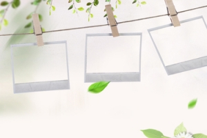 照片框清新文艺banner