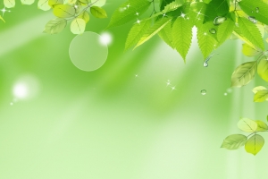 绿色梦幻波纹绿叶水珠H5背景素材