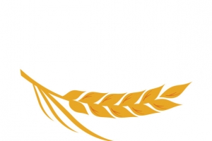 金色，麦穗，丰收，素材