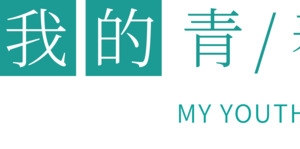 我的青春日记