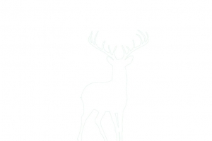 白色鹿高清PNG透明背景设计素材免费下载
