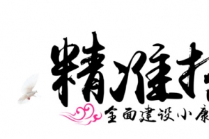 精准扶贫