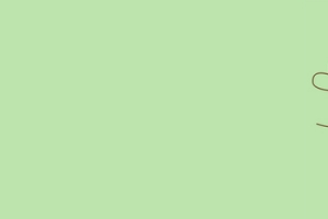 沙拉海报背景Banner