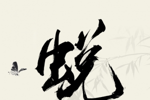 国风手书 蜕变
