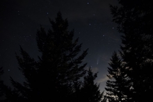 云杉 夜晚 星星 星空 4k壁纸 3840x2160