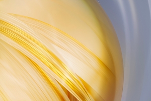 华为mate50壁纸高清全屏