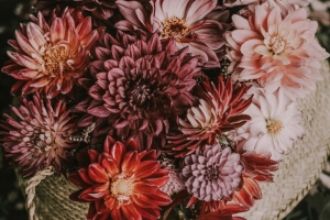 花 篮子 花束 构图 秋季 4k壁纸 3840x2160