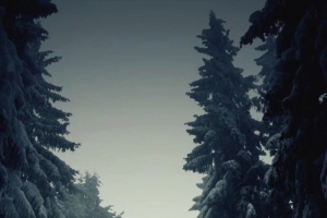 库网-恐怖森林独自走在雪路上背影大树海报