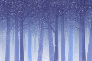 树林雪地