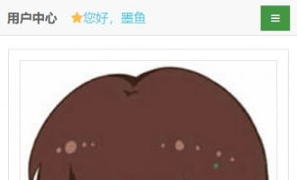 会员中心手机端