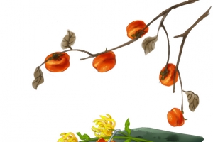 霜降柿子秋菊