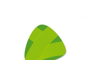 粽子
