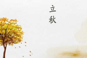 秋季秋日背景