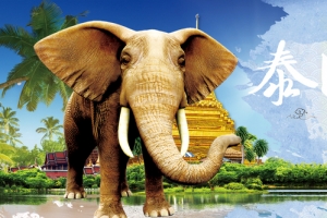 泰国之旅淘宝旅游宣传海报