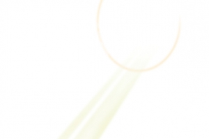 阳光