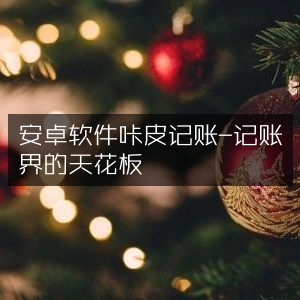 安卓应用咔皮记账，记账领域的巅峰之选
