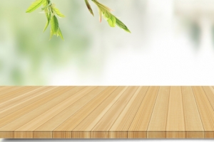 夏日窗台清新电商促销banner
