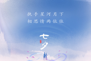 七夕鹊桥简约海报