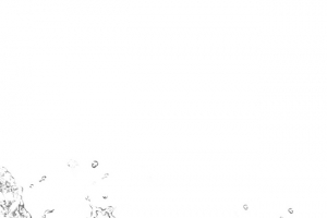 水花