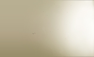 黄红色光效拼接海报高清PNG透明背景设计素材免费下载