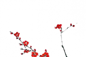 一枝梅花