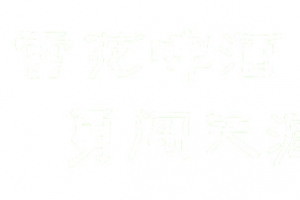 雪花啤酒字勇闯天涯