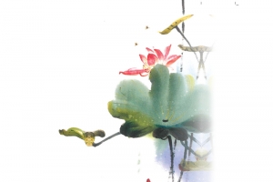 荷花古典茶香茶文化