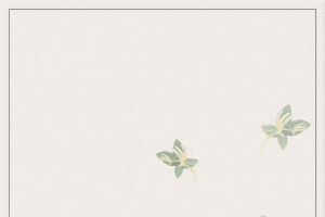 清新金银花药材花茶