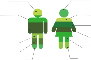 矢量创意设计男女性别标签说明图
