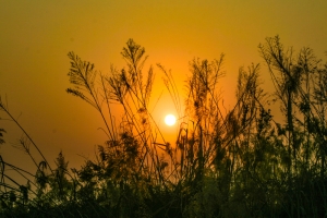 夕阳 冬天 太阳 黄昏