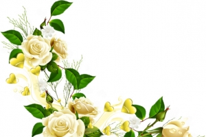花纹