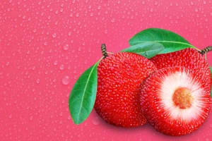 杨梅干蜜饯淘宝促销红色banner