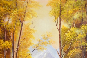 秋季 森林 瀑布 小溪流水4k风景手机壁纸图片