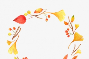 各种叶子花环