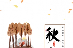 秋天秋分树木芦苇落叶