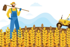 光盘行动节约粮食小麦农场