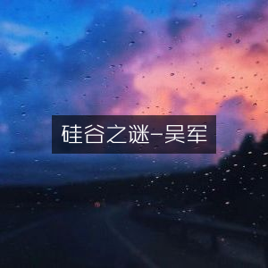硅谷之谜，吴军解读，自然纪实书籍精读指南