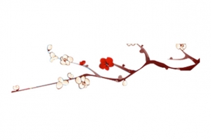 一支梅花