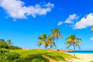 海岸,棕榈树,海滩,沙滩,夏天海边风景3440x1440壁纸