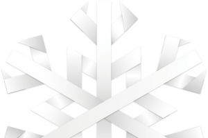 白色雪花