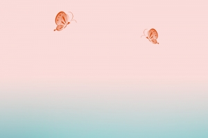 生日蛋糕温馨浪漫