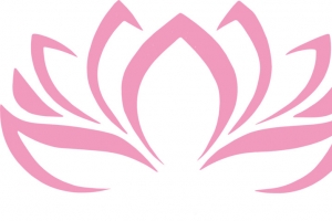 粉色的莲花免抠