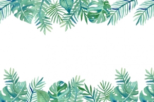 夏季绿色手绘护肤品植物背景
