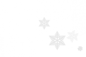 白色雪花矢量素材