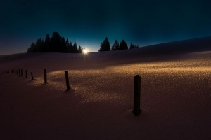 冬季 雪 夜晚 树木 浅色 4k壁纸 3840x2160
