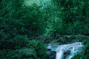 唯美的流水风景