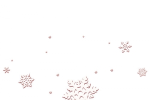 雪花