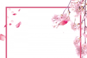 粉红色桃花背景素材