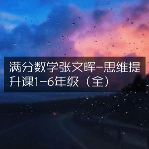 张文晖满分数学课，1-6年级思维提升全课程