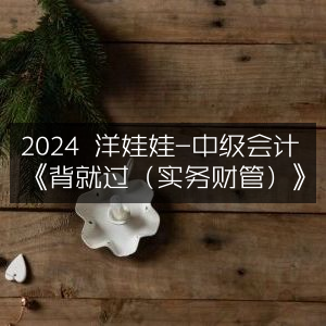 2024年洋娃娃推荐，中级会计《实务财管背就过指南》